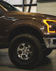 04-20 FORD F150 Upper Control Arms by LSK