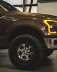 04-20 FORD F150 Upper Control Arms by LSK