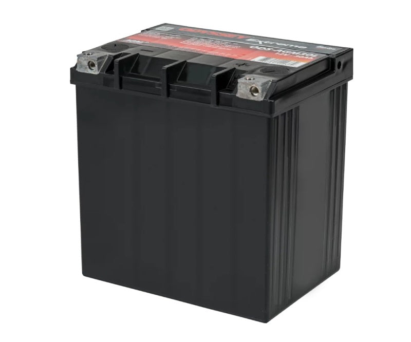 Odyssey AGM30L Battery - RZR Size