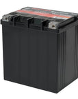 Odyssey AGM30L Battery - RZR Size