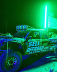 LED Lighted Whip Bundle Pair by GG Lighting