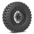 Alpha on 15x8 V06 BG - Valor Offroad