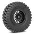 Alpha on 15x8 V06 SB - Valor Offroad