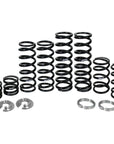 RZR Pro XP 4-seat Spring Kit - by Z-broz Racing